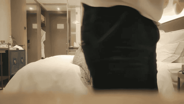 【探花精选】漂亮少妇_累死了你来_身材高挑大长腿_性格温柔很配合_逼毛浓密_上位骑乘.gif