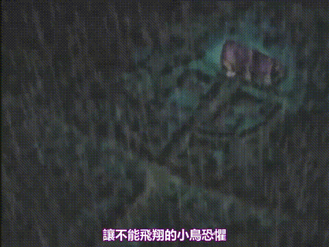 殻の中の小鳥_V_最終章_[中文字幕]_p5.gif