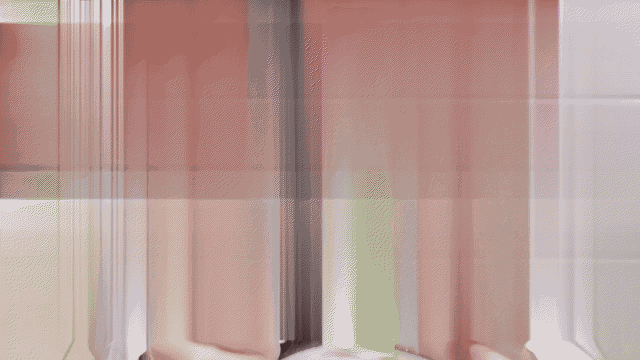 video_5p_compressed.gif