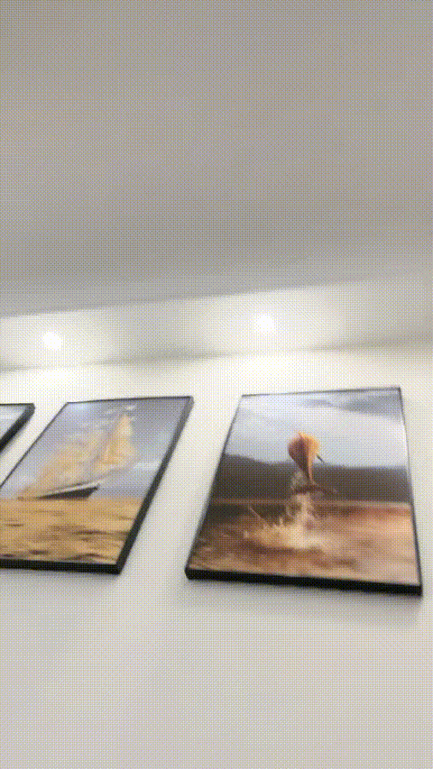 VID_20230901_184009_271_p5_compressed.gif