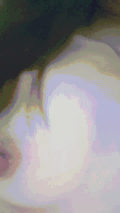 1 (1)_p80.gif