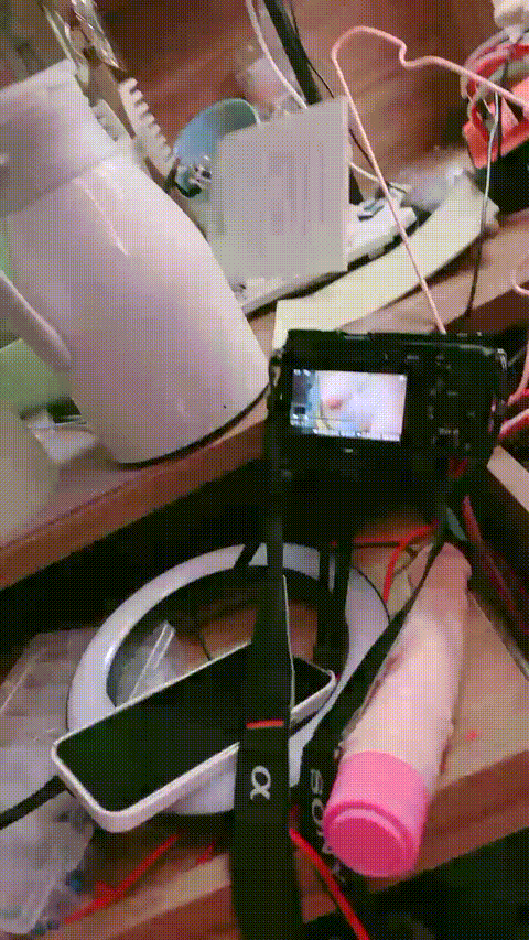 #樱井宁宁_11_1_cfd14_p80_compressed.gif