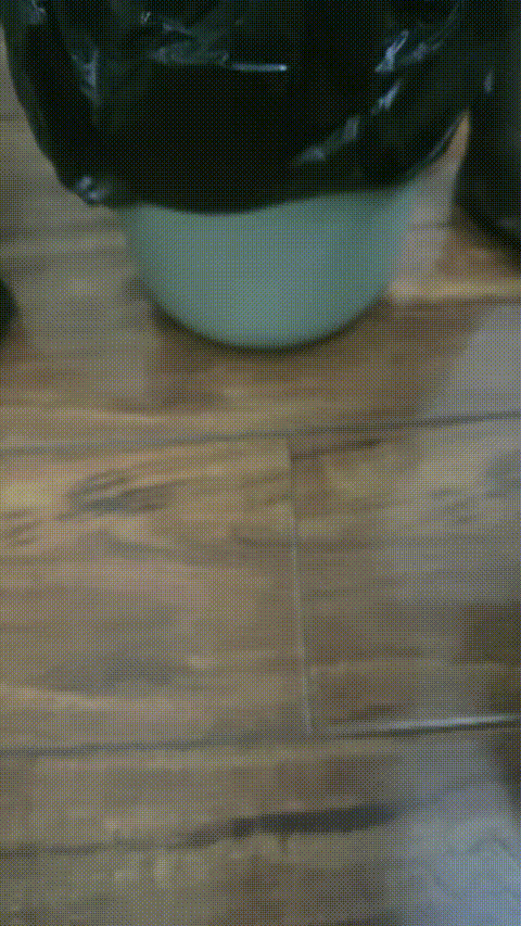 VID_20230905_173249_529_p80_compressed.gif