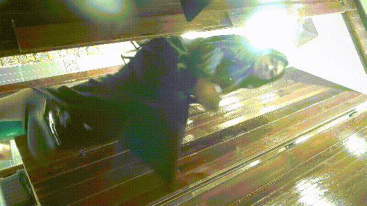 13.gif