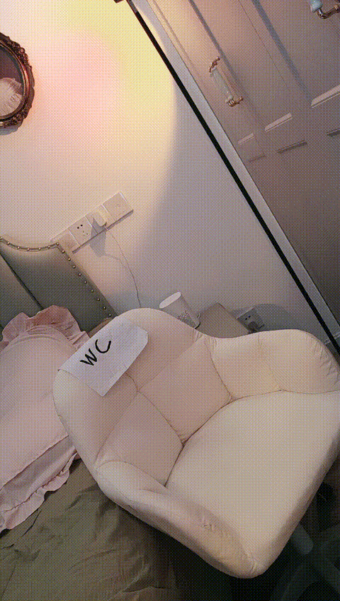 vlc_record_2023_05_15_13h46m34s_cx___p40_compressed.gif