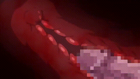 OVA_ネトカノ_[中文字幕]_p40.gif