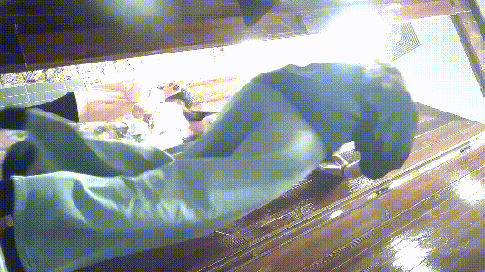 5.gif