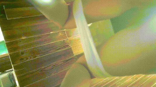 14.gif