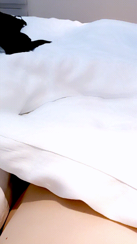 1 (7)_p20.gif