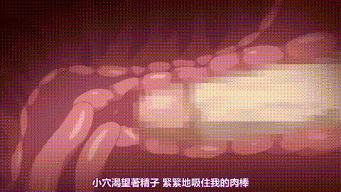 箱入少女_Virgin_Territory_上巻「理想のお嬢様」_中文字幕_p80.gif