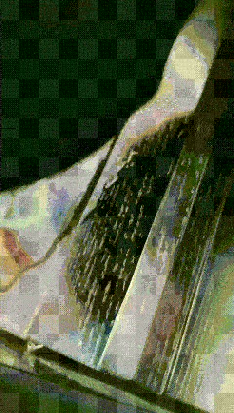 1 (4)_p40 (2).gif