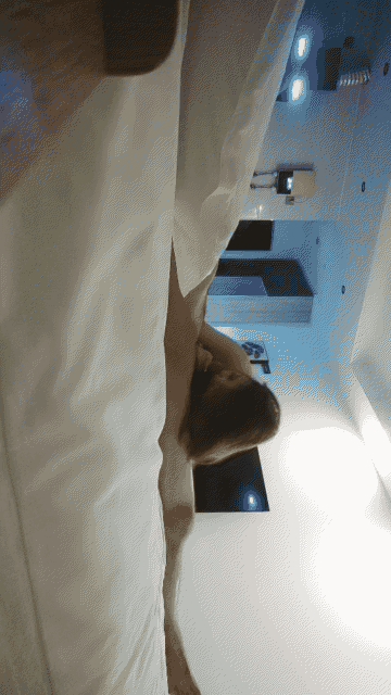 【山鸡岁月】，深夜探外围，漂亮小少妇笑脸相迎，黑丝诱惑极品美胸，疯狂抽插阵阵高潮.gif