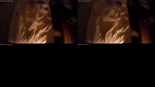 上帝视角 4_preview_3.gif
