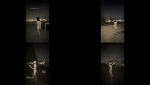 (17)_preview_1.gif