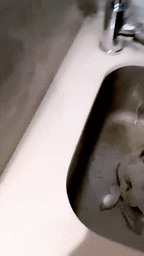 1 (7)_p5 (2).gif