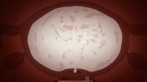 OVA_裏受胎島_1_精液って…なんでこんなに…美味しいの…_中文字幕_p60.gif.gif