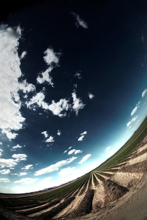 u=3169989469,2593581973&amp;fm=26&amp;fmt=auto&amp;gp=0.jpg