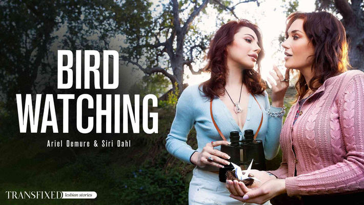 Bird Watching.jpg