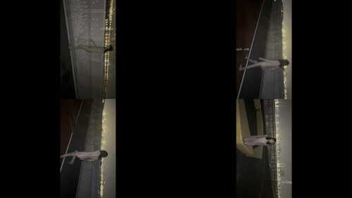 (18)_preview_1.gif