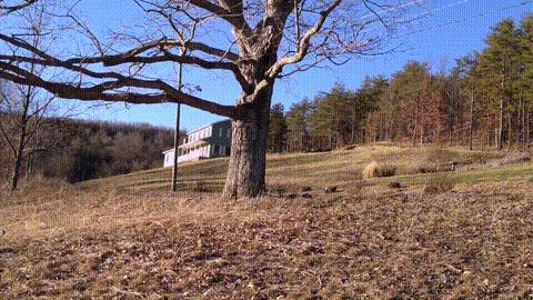 I Love recording Don Whoe Fucking HOT New Sluts Lisa Rivera_p40.gif