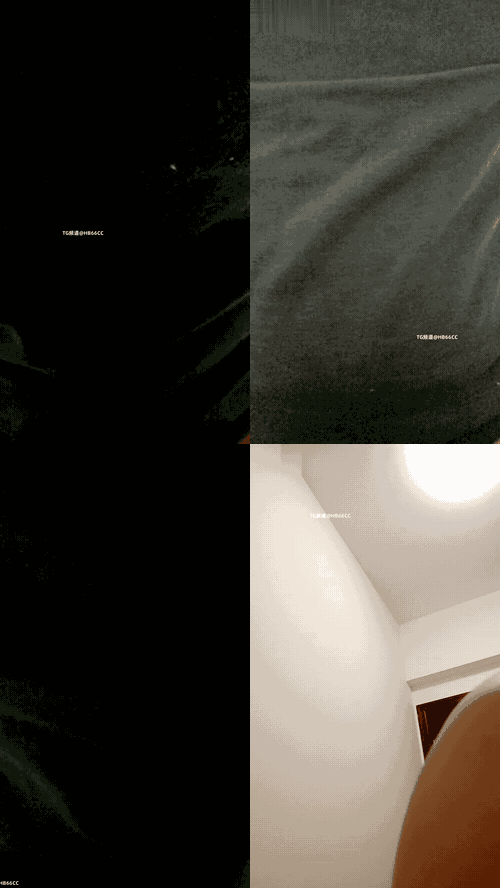 3955120_旺旺小骚咪_04_preview_3_compressed.gif