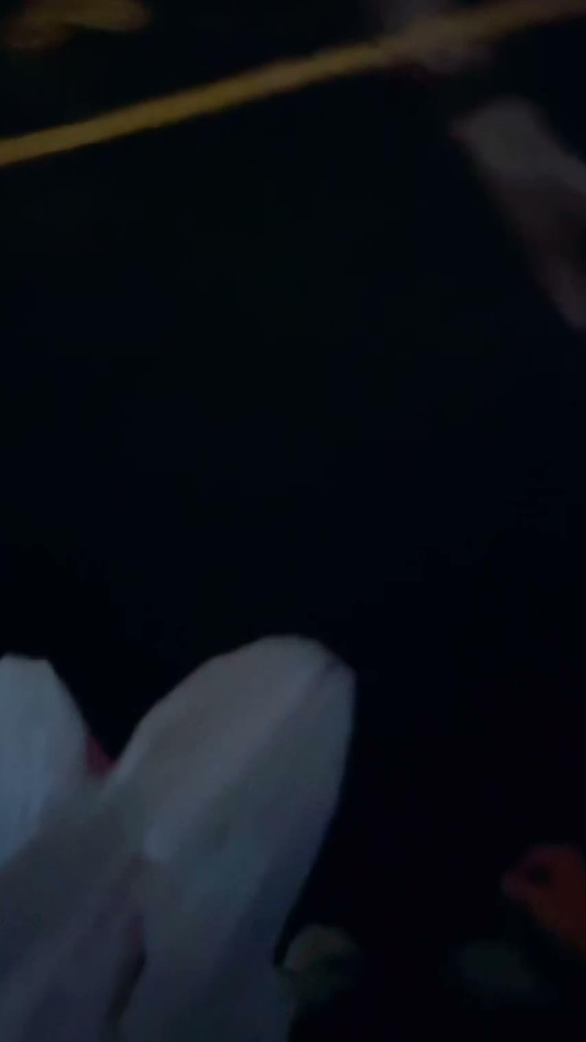 01.jpg