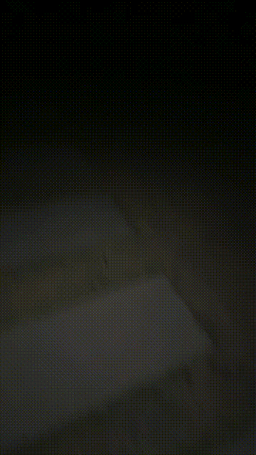 mp4_ (4)_start120s_3s83.gif