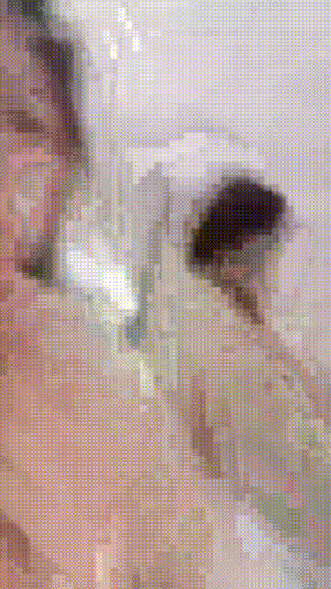 狐狸精_20260220_080309_p5_compressed.gif
