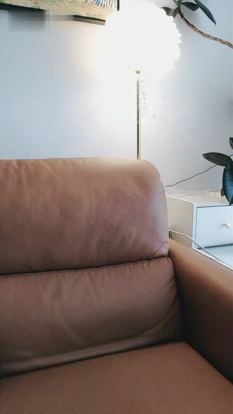 多肉垚垚_20260213_154150_p40.gif
