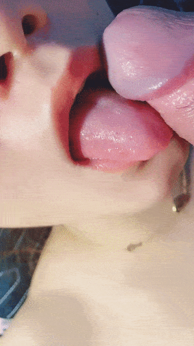 wdc715 (2).gif