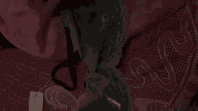 video_5p_compressed.gif