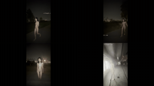 (17)_preview_2.gif