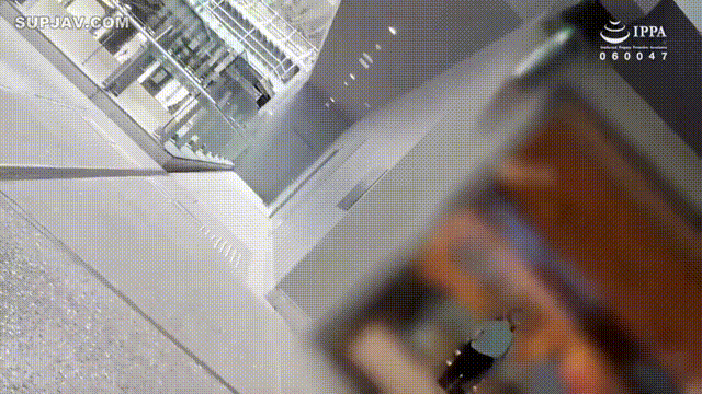 1 (1).gif