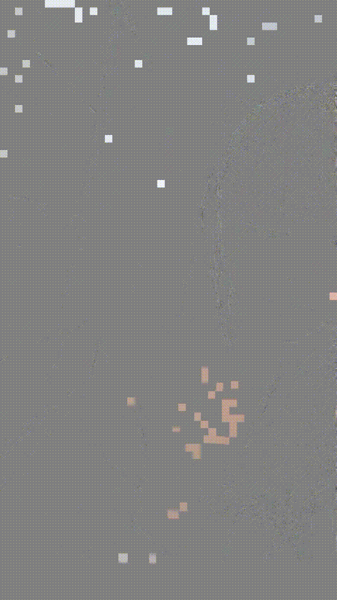 1 (3)_p20.gif