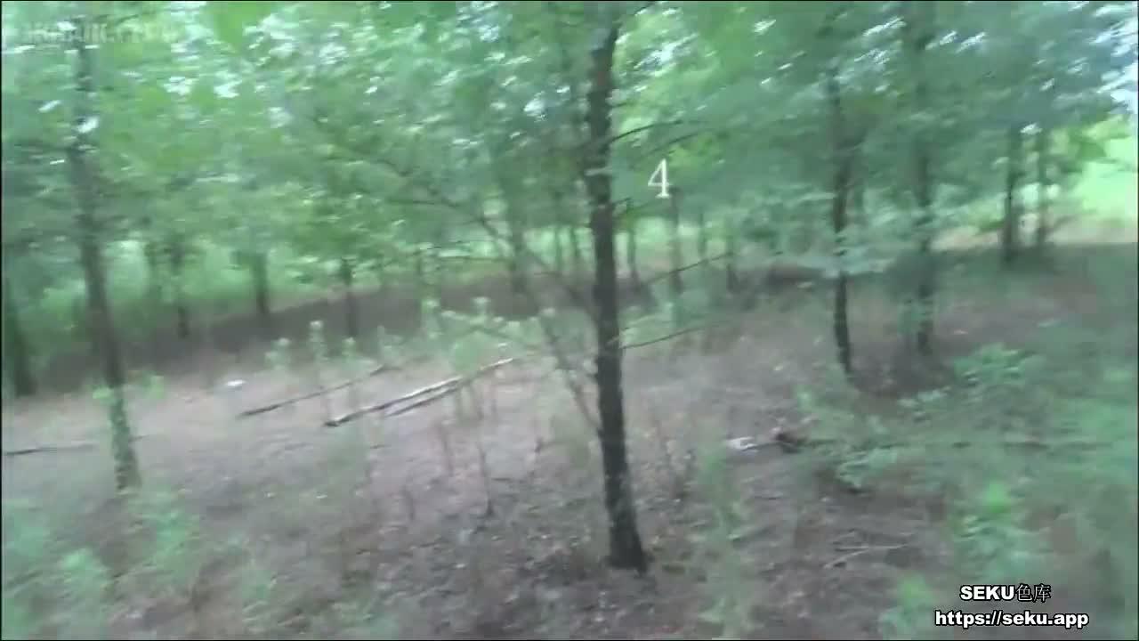 03.jpg