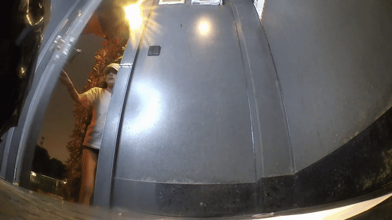 2.gif