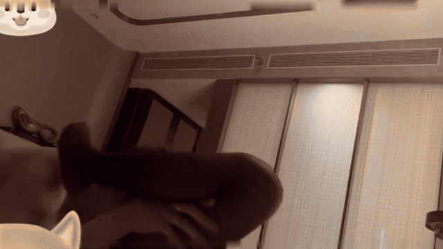 1 (1).gif