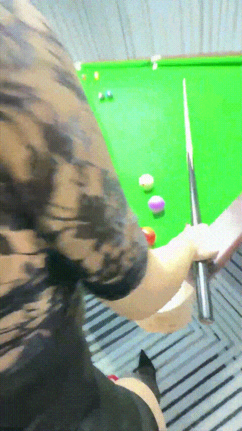 0 (6).gif