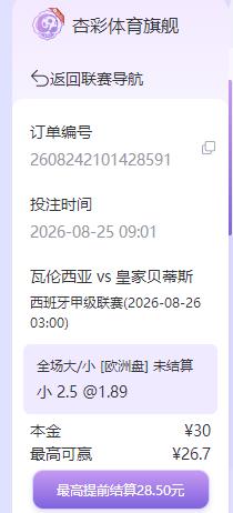 体育投注小球.png