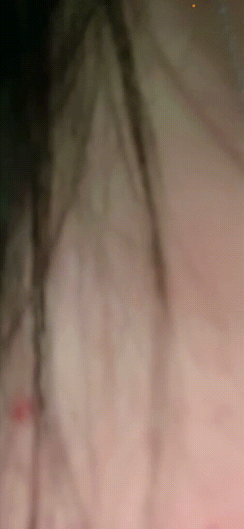 推荐 颜值嫩妹【莉莉】一对一视频被出卖，奶圆逼粉，好身材大长腿，给大哥提供满满飞.gif