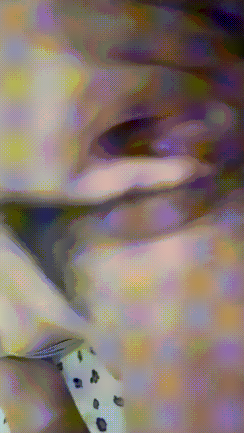 月露曦_20260209_104112_p80_compressed.gif