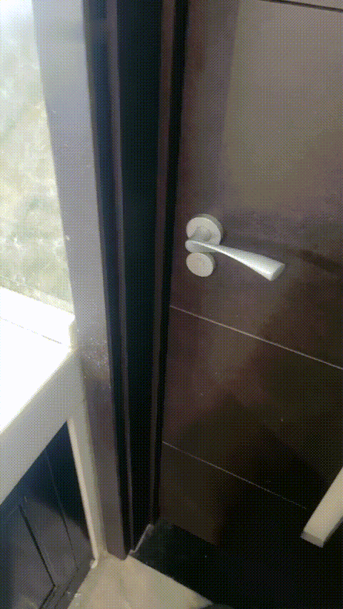 咪咪小穴91199373_ 0105-025235 00_24_51-_p5.gif