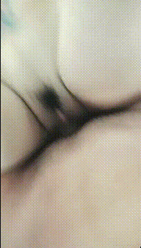 g1602.gif