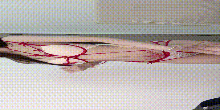 0 (14).gif