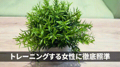 FC2PPV-4794005-gift_p5.gif