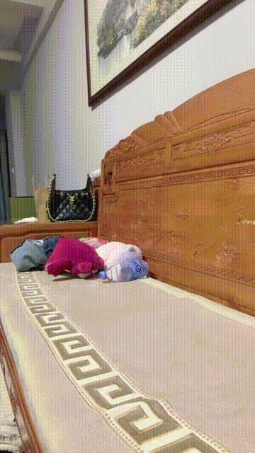 ⚫️新品福利，阿黑颜小母狗，舞蹈女学生【06年美少女】道具狂插自慰，首次啪啪_start.gif