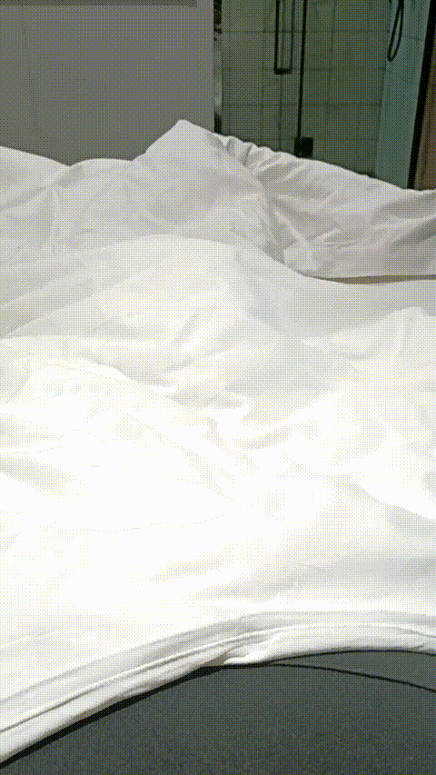 1 (3)_p80.gif