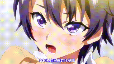小真开发日记_1_p40.gif