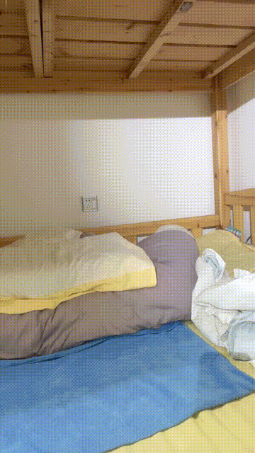 0 (3).gif