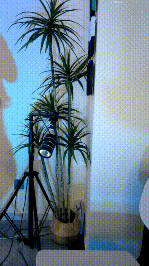 (183)_p20_compressed.gif